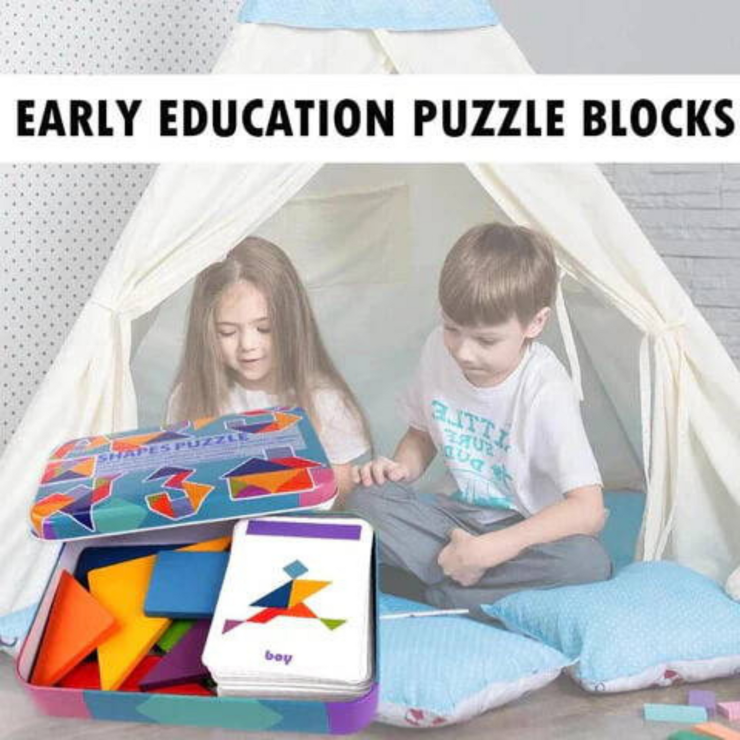 Montessori Sorting Puzzle