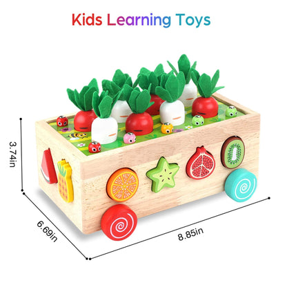 Montessori Farm Harvest Set