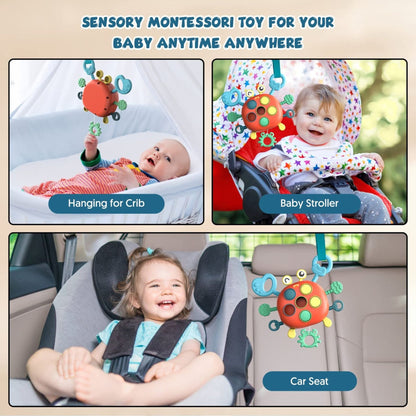 Montessori Crab Explorer