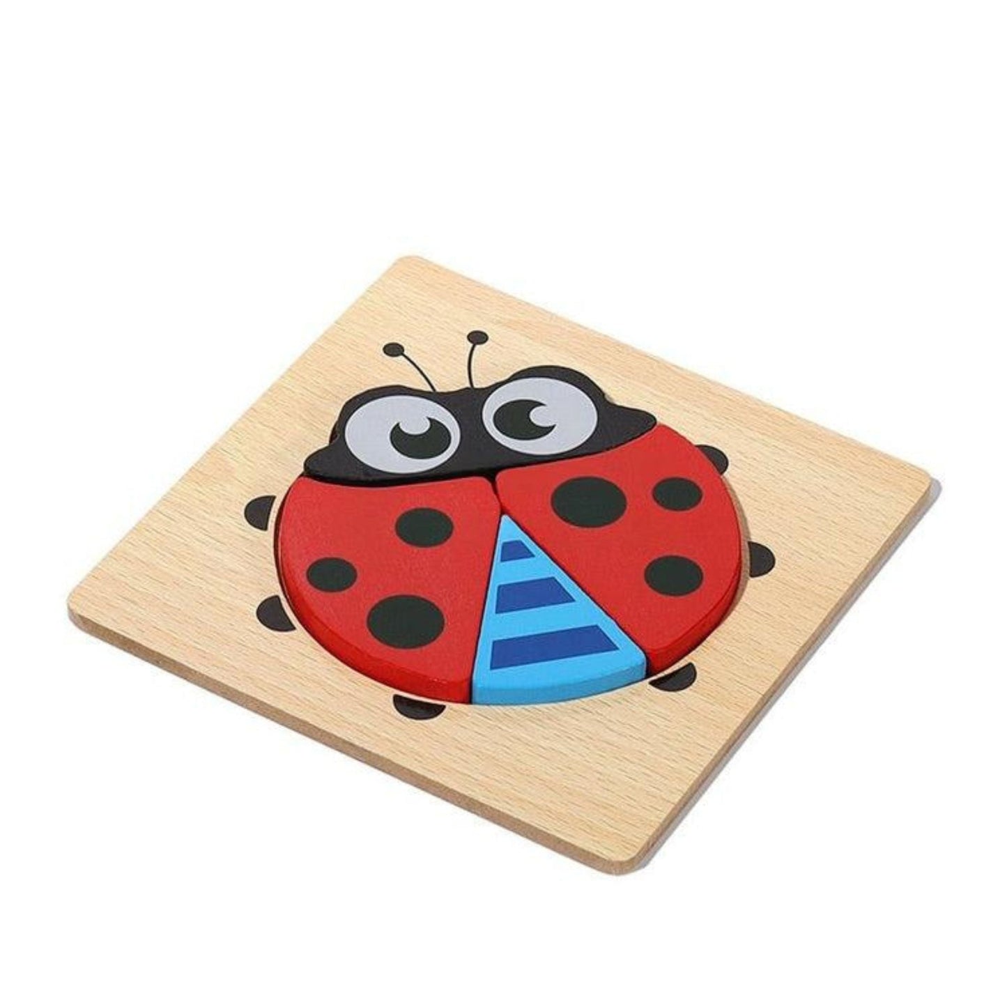 Montessori Puzzle Blocks