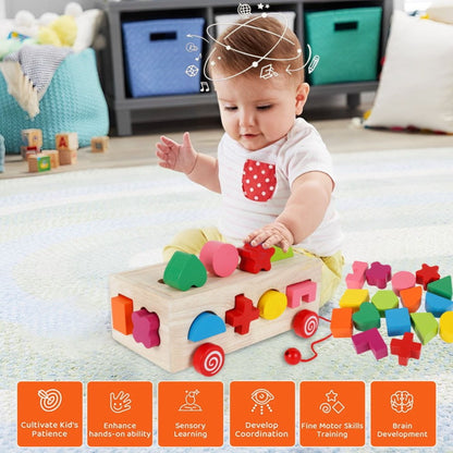 Montessori Shape Match Box