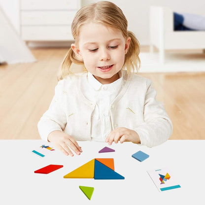 Montessori Sorting Puzzle