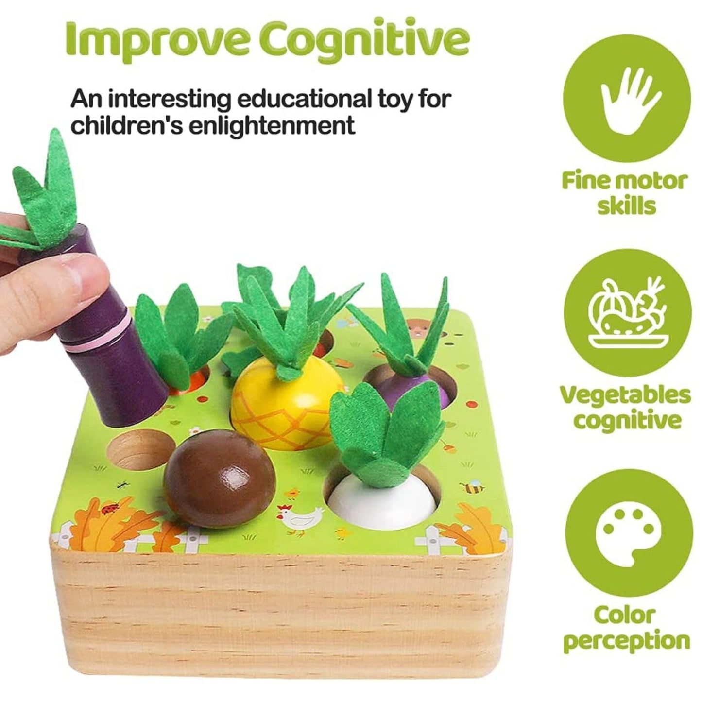 Montessori Vegetable Set